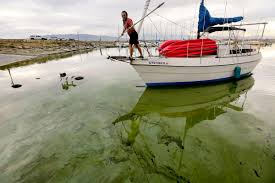 Effects of Pollution and Algae Bloom on Lakes in Utah