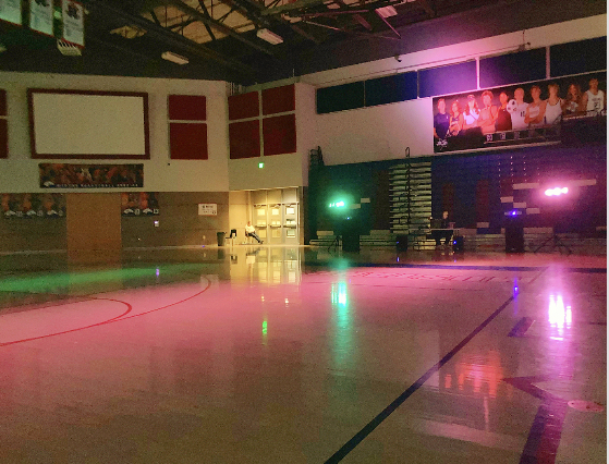 “Bargain ball in 20 minutes with no one in sight”